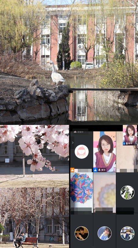 ce00037f9eec42d59a81c0fba8dc734f.png